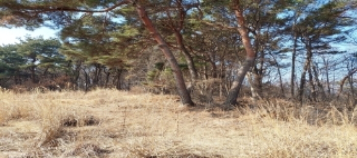 본건 토지 일부 전경