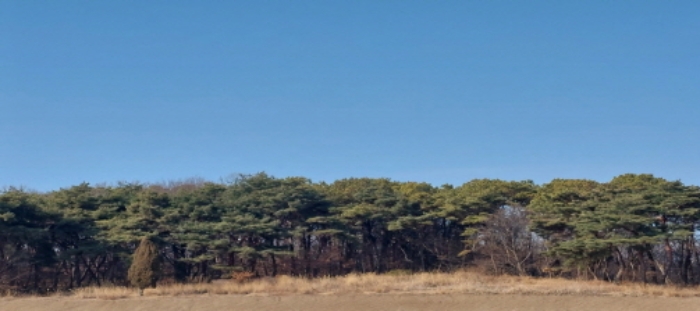 본건 토지 원경