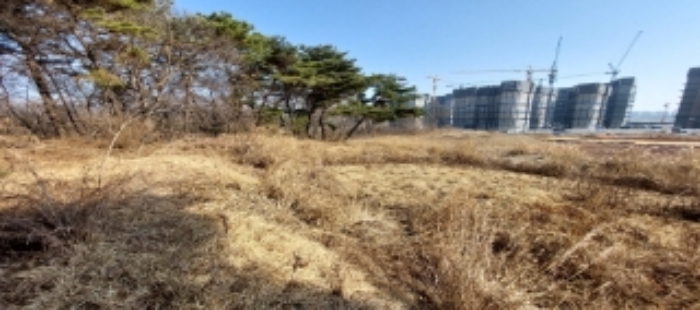 본건 토지 일부 전경