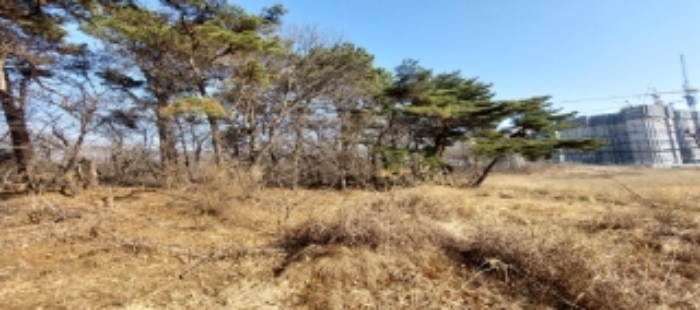 본건 토지 일부 전경