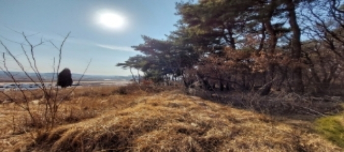 본건 토지 일부 전경