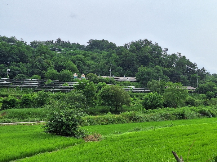 본 건 전경