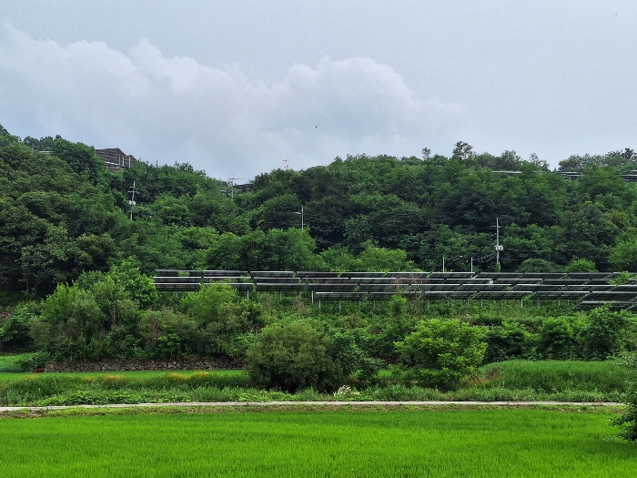 본 건 전경