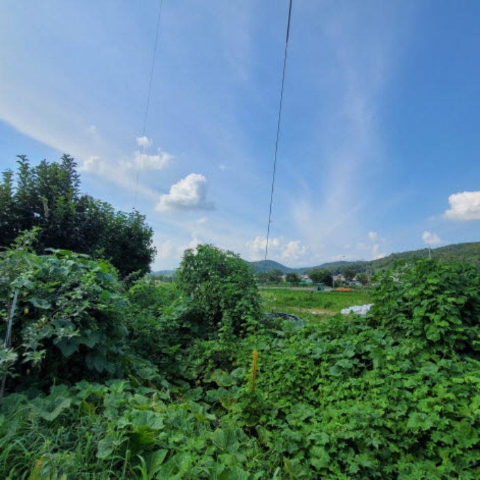 목록1 토지 전경