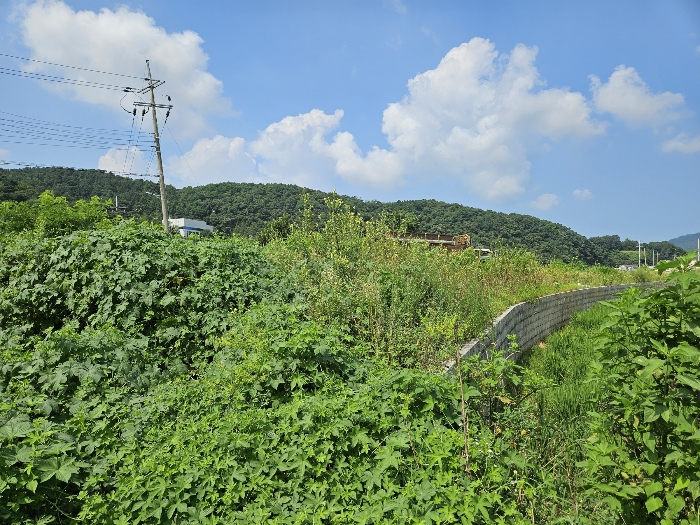 기호 1 전경
(동측에서 촬영)