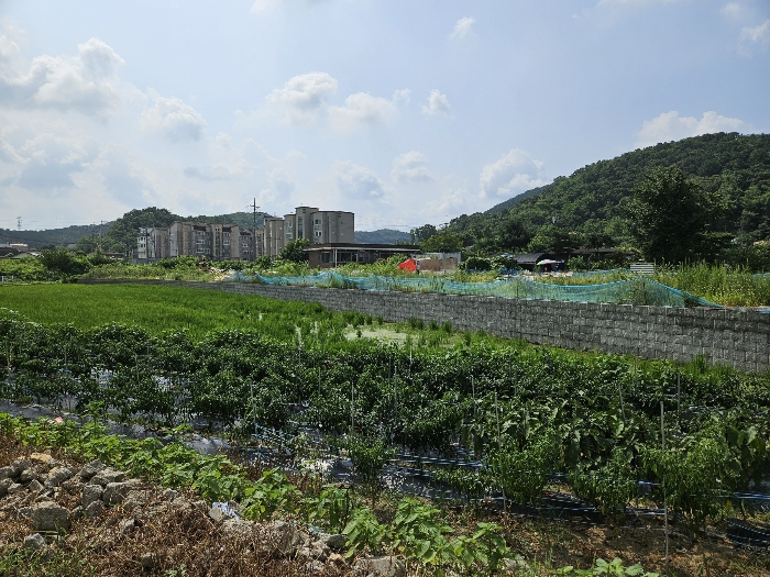 기호 1 전경
(북측에서 촬영)