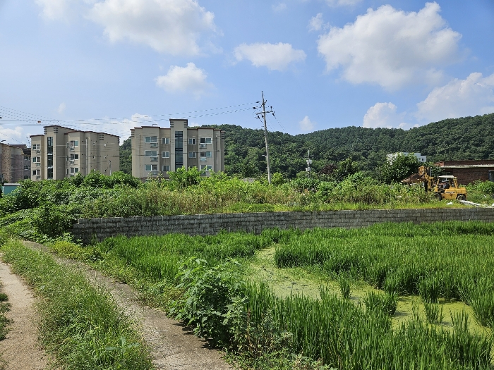 기호 1 전경
(북동측에서 촬영)