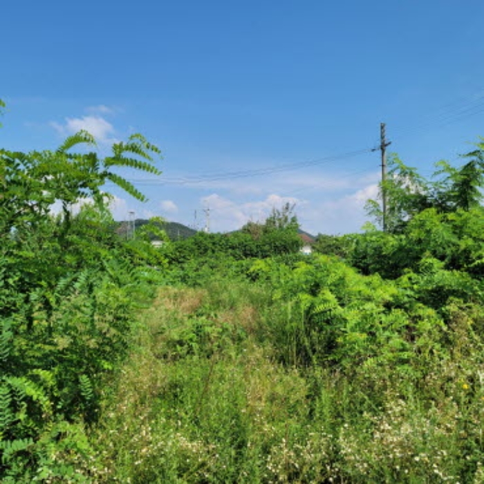 목록1 토지 전경