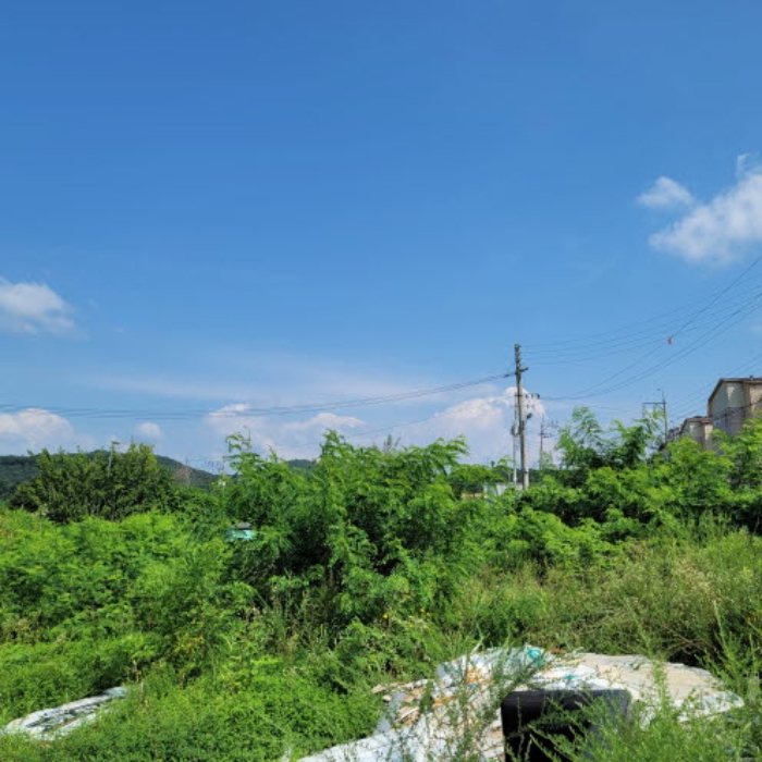 목록1 토지 전경