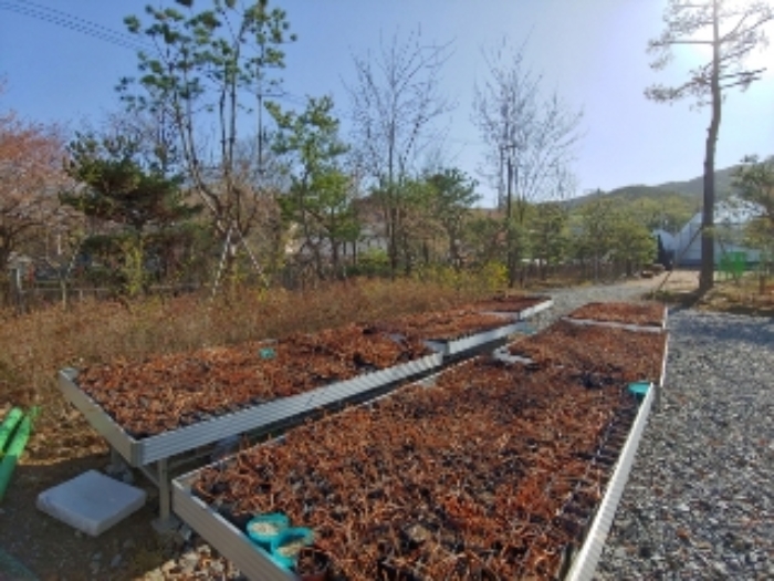 네이버지도(지적편집) (14)에서 부동산 9. 10.을 바라본 전경