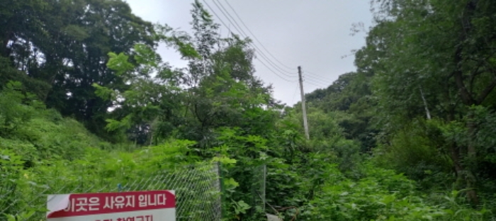 본건 임야(목록 1. 및 목록 2.) 전경