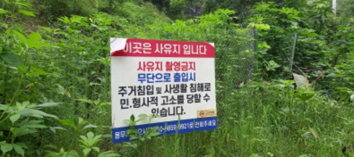 본건 임야(목록 1. 및 목록 2.) 전경