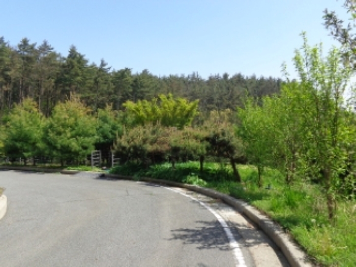 [목록 1] 남쪽 지상의 모습