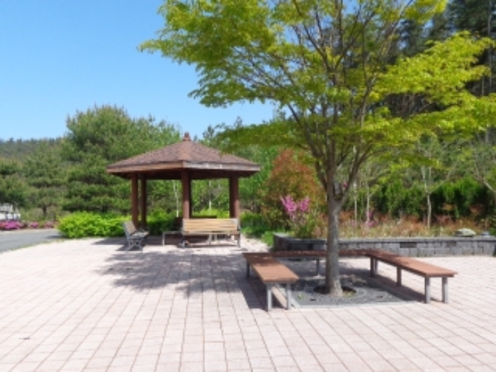 [목록 1] 남동쪽 지상의 모습