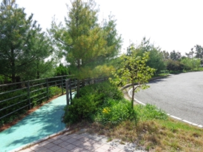 [목록 1] 남쪽 지상의 모습