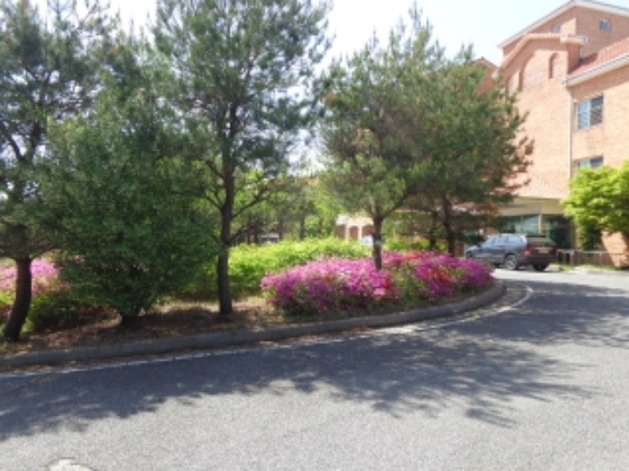 [목록 1] 남동쪽 지상의 모습