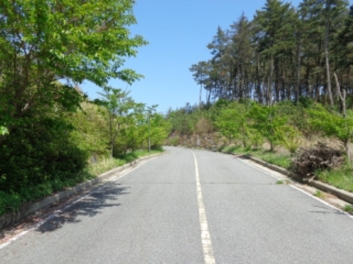 [목록 1] 남쪽 진입로 주변의 모습