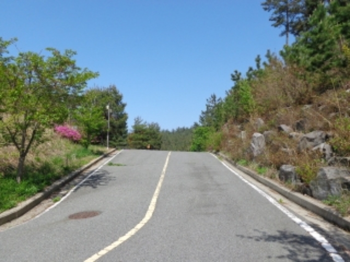 [목록 1] 남동쪽 진입로 주변의 모습