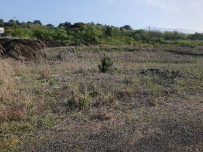 소재지1.(봉개동 274-1)