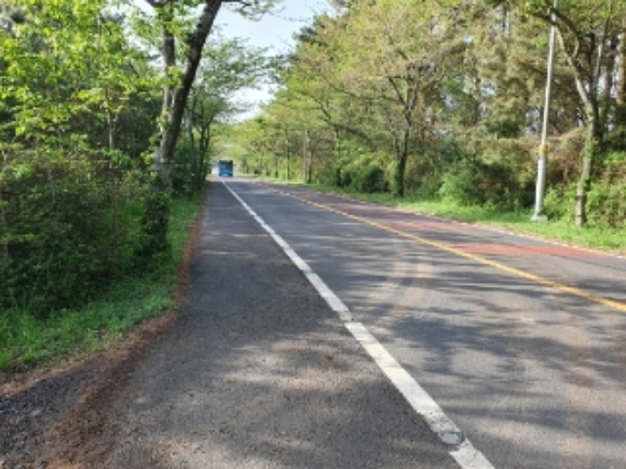 본건 토지 인접 도로 전경