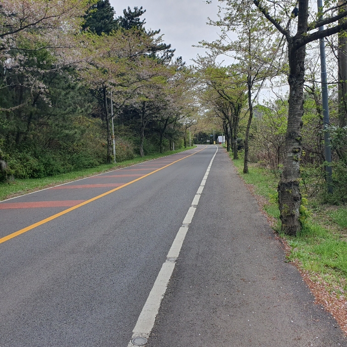 기호 2),3),6) 동측 인접 도로 현황