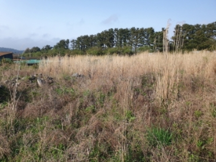 소재지2.3(봉개동 275-22, 봉개동 275-66)