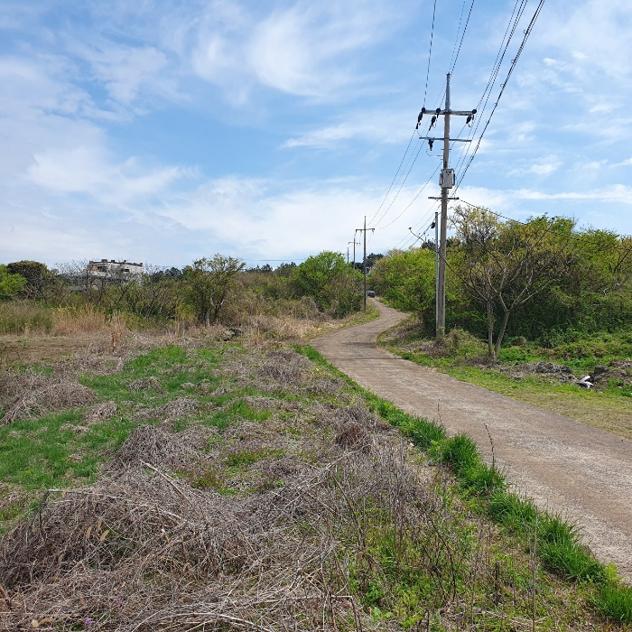 기호9) 남서측 인접 도로 현황
