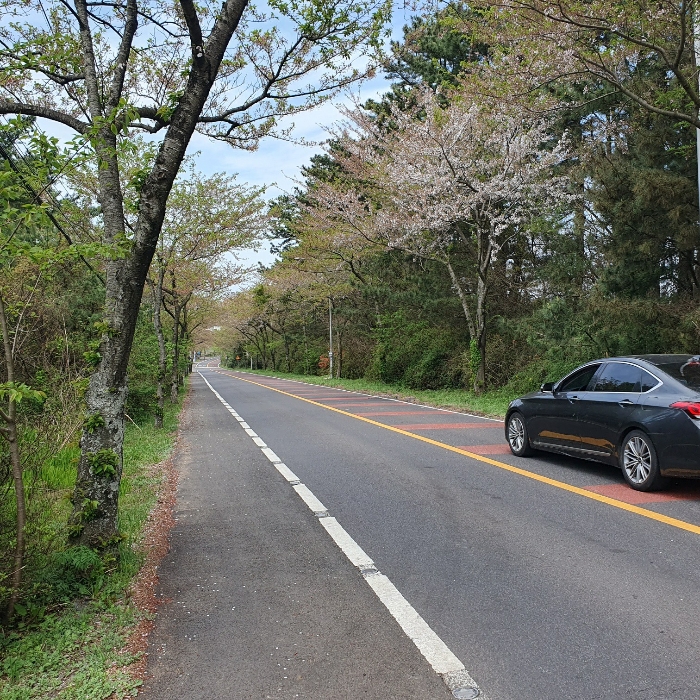 기호 2),3),6) 동측 인접 도로 현황