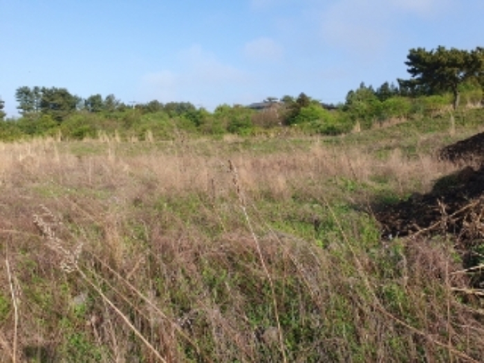 소재지4.7(봉개동 275-74, 봉개동 275-95)