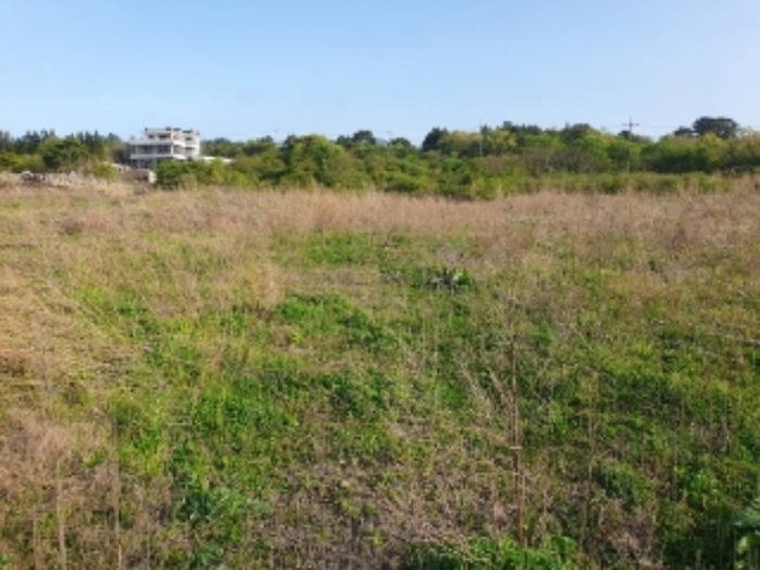 소재지4.7(봉개동 275-74, 봉개동 275-95)