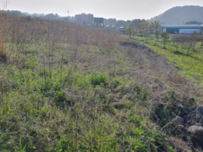 소재지5.(봉개동 275-80)