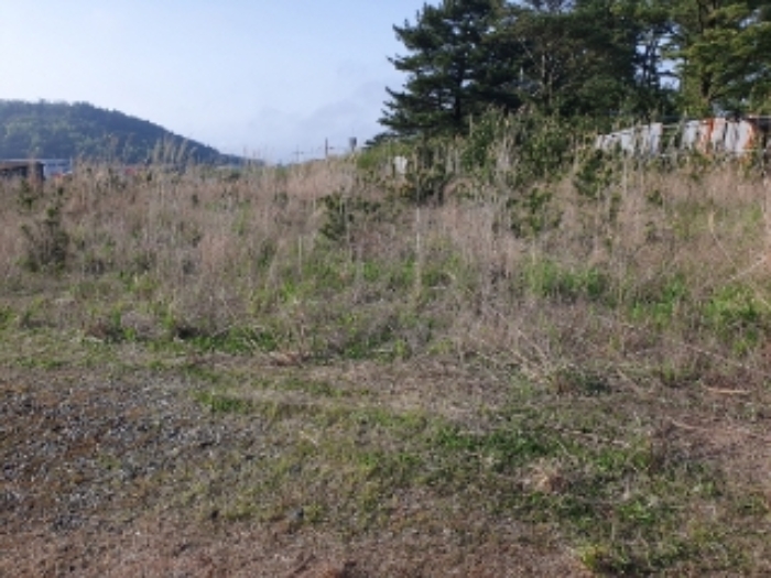 소재지6.(봉개동 275-94)