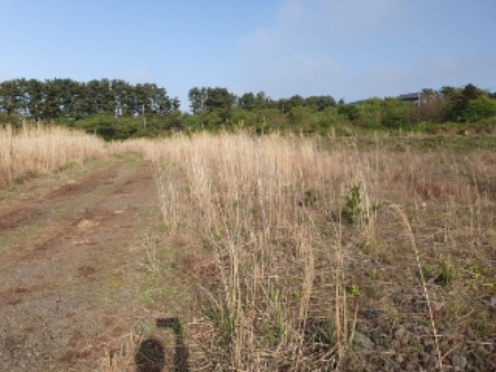 소재지6.(봉개동 275-94)