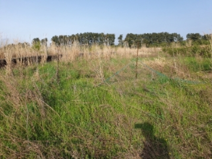 소재지8.(봉개동 275-96)