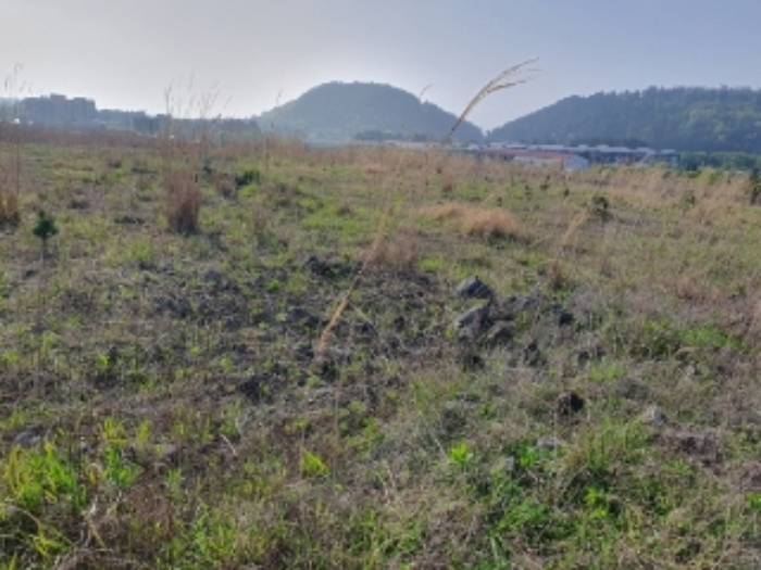 소재지9.(봉개동 275-97)