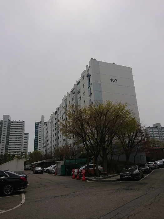 본건 동건물