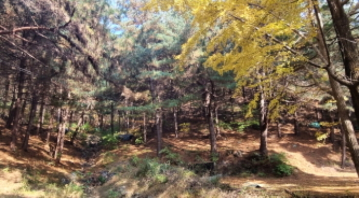 목록 13. 토지 내부