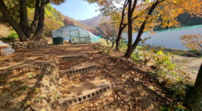 목록 10. 토지(위쪽 비닐하우스쪽)