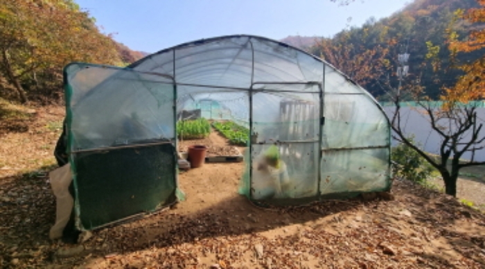 제시외 건물 3. 비닐하우스