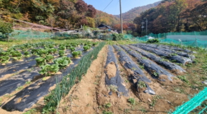 목록 10. 토지(위쪽 밭)