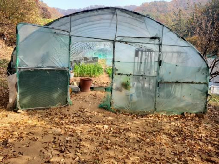 제시외 비닐하우스 ㉢