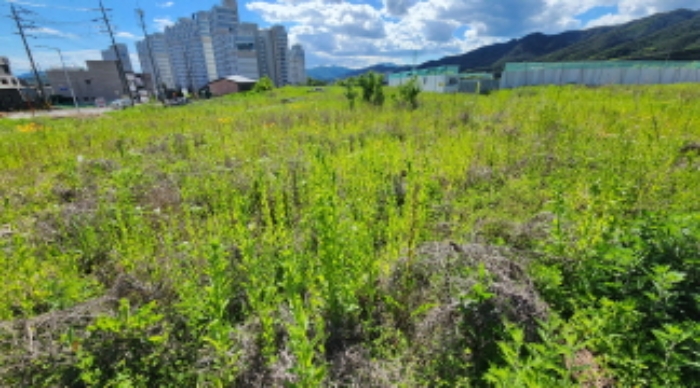 본건 1, 2, 3, 4, 5, 6, 7, 8, 전경