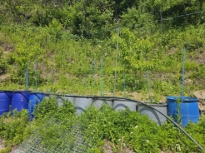 목록 2 제시 외 수목