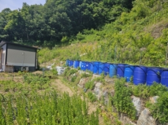 목록 2 제시 외 수목