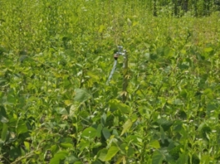 목록 3 제시 외 수전