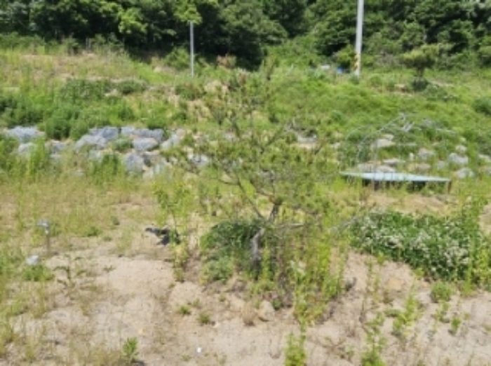 목록 4 제시 외 조경수