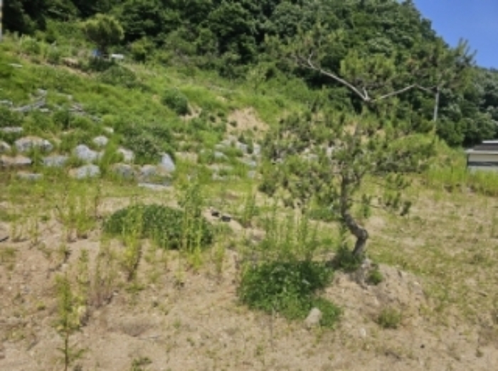 목록 4 제시 외 조경수