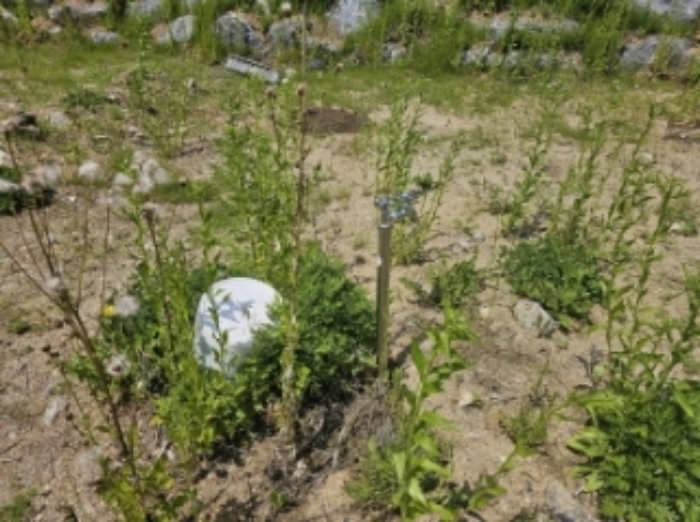 목록 4 제시 외 수전