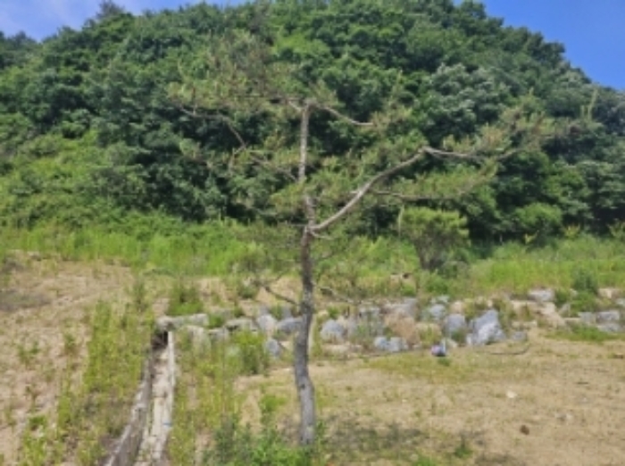 목록 8 제시 외 수목