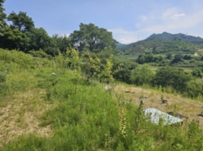 목록 7 제시 외 수목